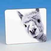 8301 Placemat-MARK CHARLES-ALPACA